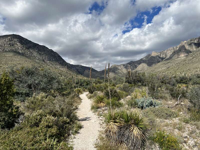 Start of the hiking trail that leads to Guadalupe Peak in the Guadalupe Mountains of Texas.