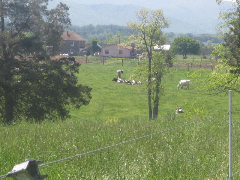 Luray Downtown Historic District