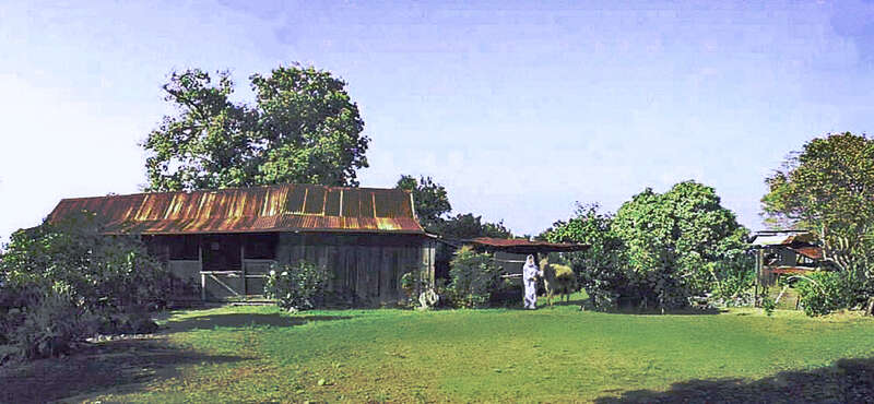 A panorama of the farmhouse — at the Kona Coffee Living History Farm. 
Of the Kona Historical Society — Kealakekua (Captain Cook), Kona district, on the Big Island of Hawaiʻi.
