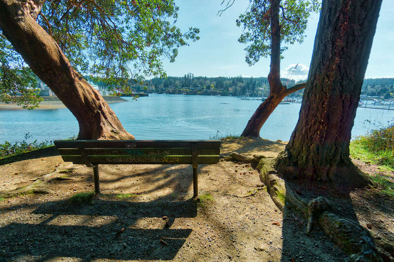 500px provided description: A lookout at the waterfront park in Bainbridge Island [#park ,#nature ,#waterfront ,#Washington ,#Seattle ,#Bainbridge Island]