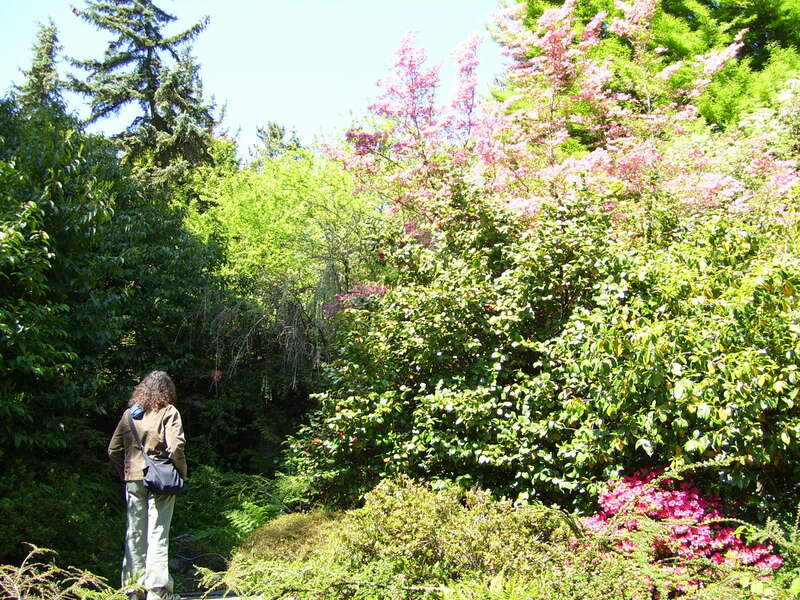 Kubota Gardens in AM.