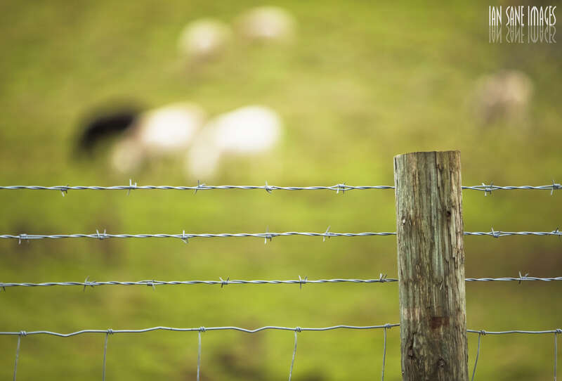 Happy Fence Friday!!

If you have time to kill -------&amp;gt; www.youtube.com/watch?v=Zz5jIxzneMA