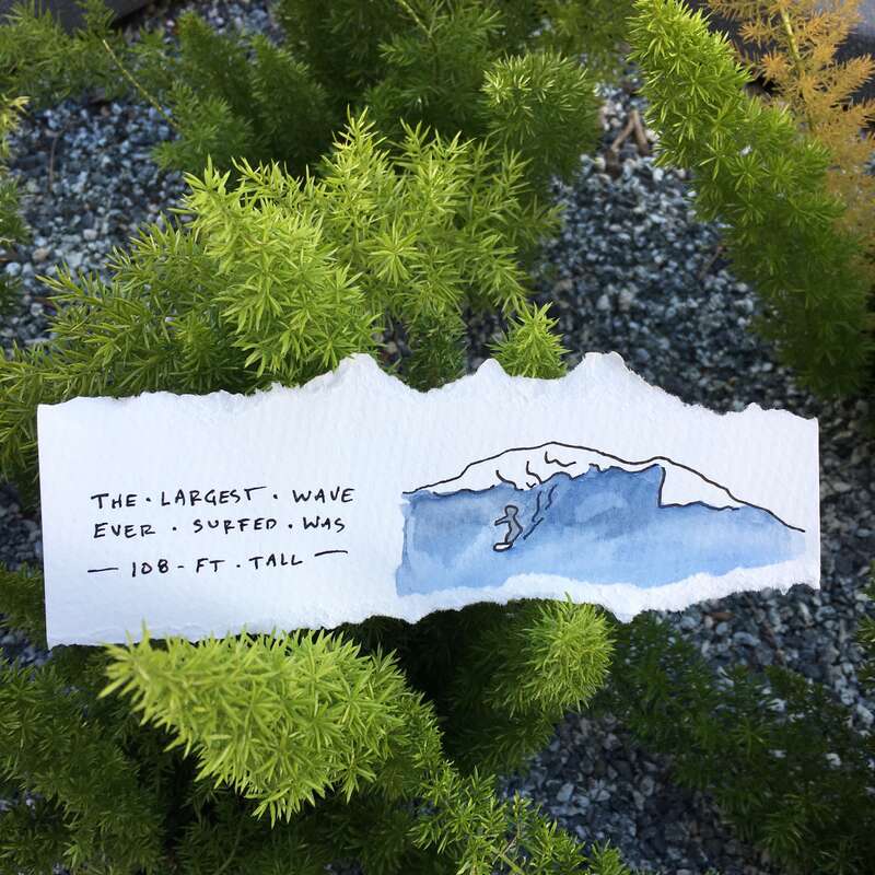 From &quot;Wikipedia in Watercolors&quot; - a year of illustrating 50 colorful facts from Wikipedia.