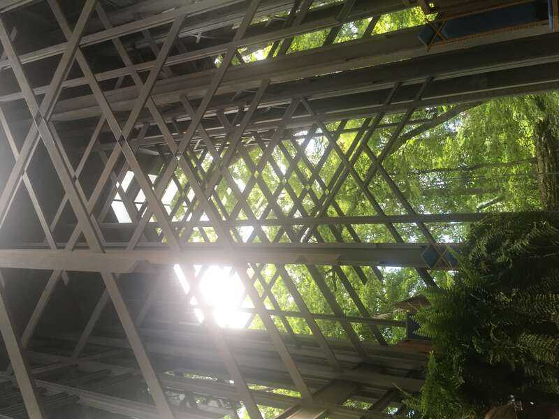 The inside of thorncrown chapel built in 1980. The inside is built with steel and glass, helping to focus  in on the nature around the structure.