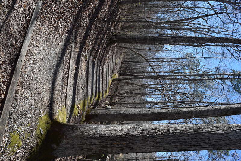 Trail to CCC pond in Tishomingo State Park, Mississippi