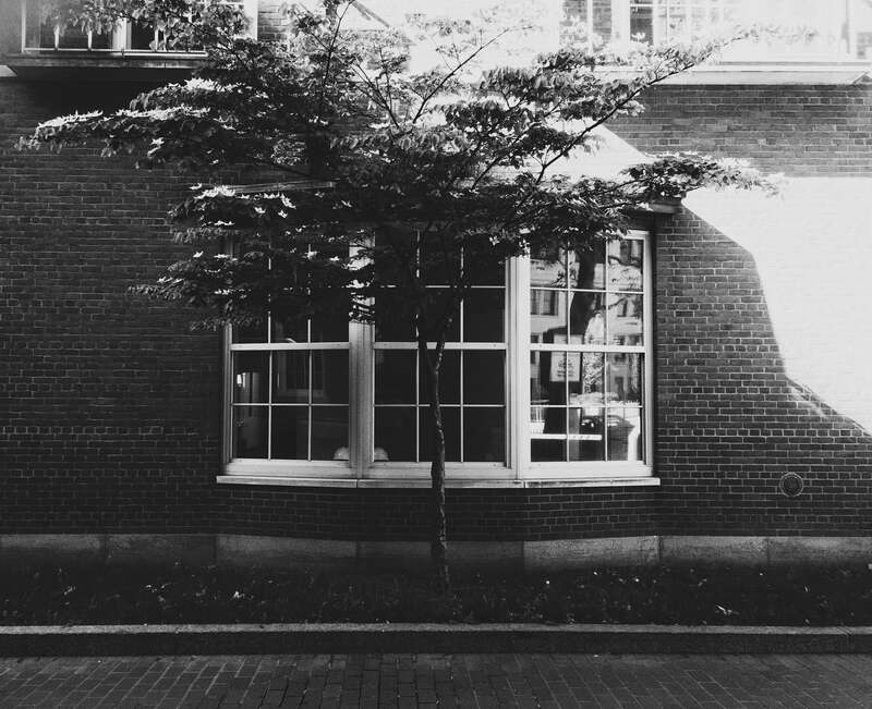 500px provided description: Two Construction Workers Sitting Inside This Beautiful Window Under A Cool Shade Cast [#tree ,#blackandwhite ,#shade]