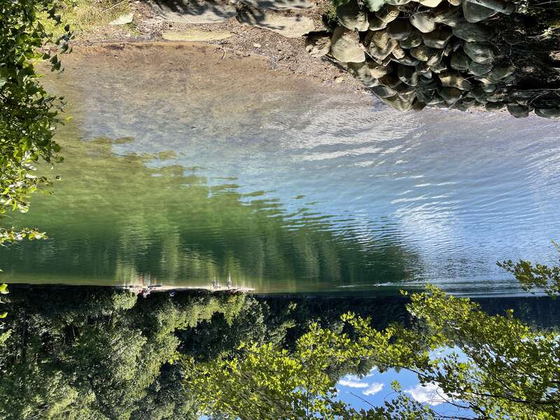 Walden pond in fall of 2021