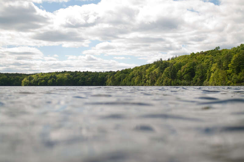 Walden Pond State Reservation - Concord, Massachusetts, May 15, 2010