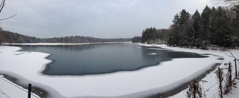 walden pond December 2013