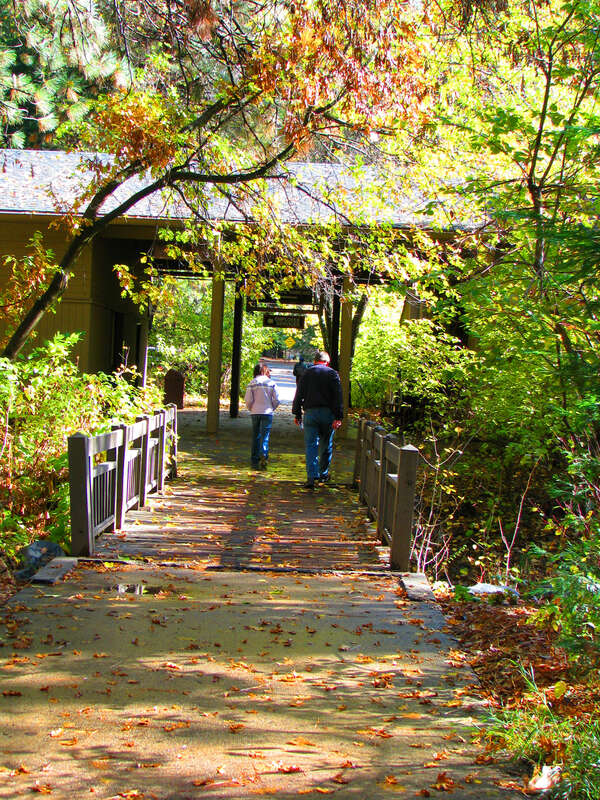 A Walking Bridge in Yosemite Village