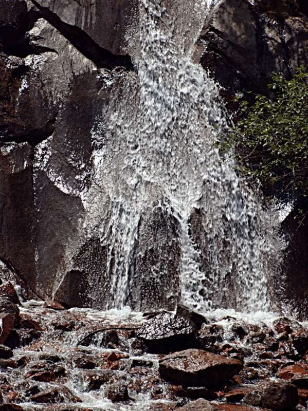 Taken at garden of the gods.