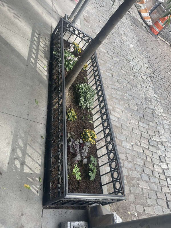 09_20_2022_treepit_Tribecaa