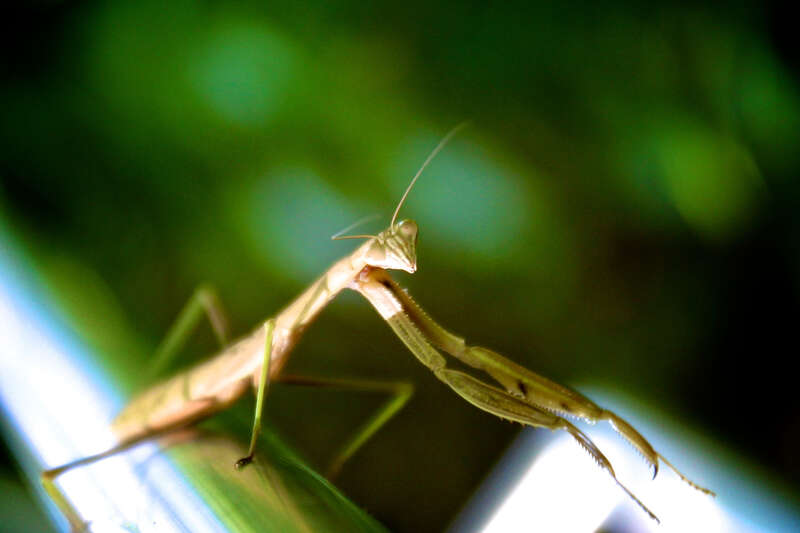 500px provided description: Untitled [#Rock Climbing]