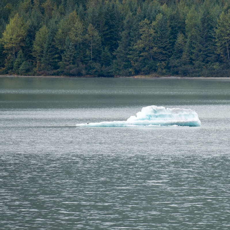 Taken during September 2019 Alaskan cruise aboard the Norwegian Jewel.