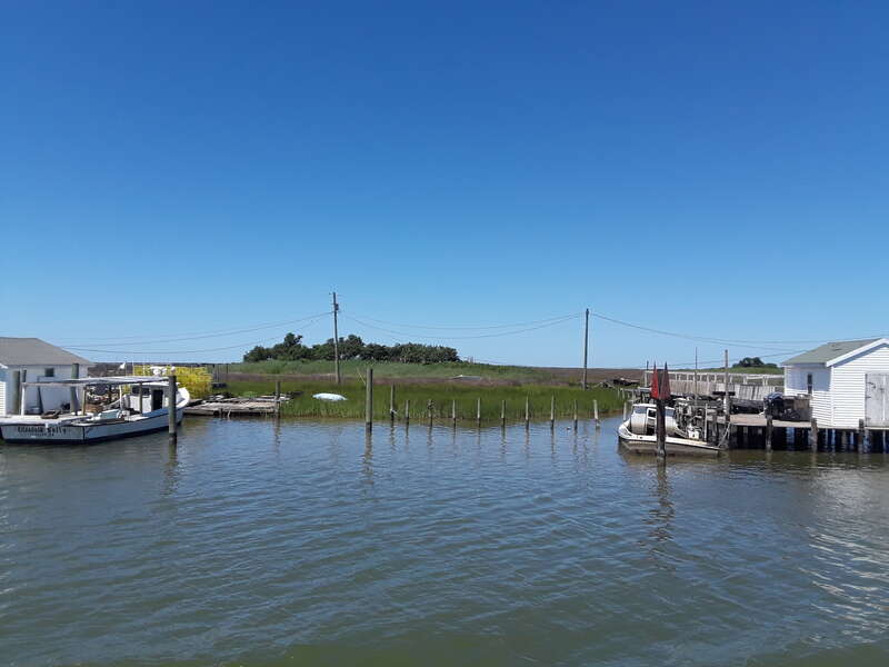 Taken on a visit to Tangier Island, July 2018