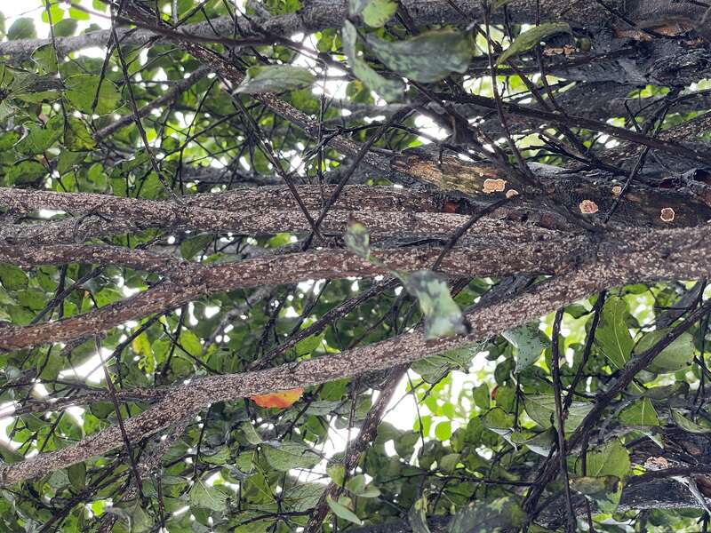 Seen in Clarksdale, Mississippi