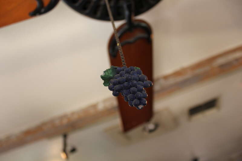 My final Devils River/Hill Country trip shot!