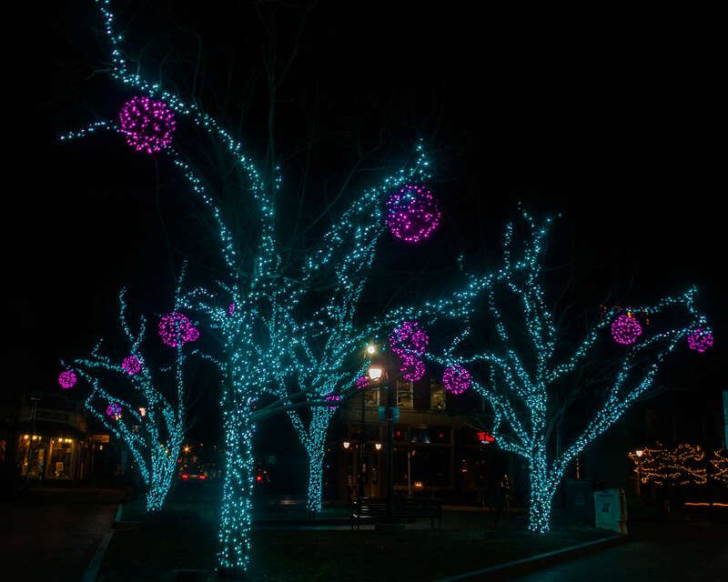 The trees around the statue of Henry Wadsworth Longfellow are decorated in this color scheme.  Adjacent is a music venue, One Longfellow Square.  I have never attended a show here but it is quite a popular spot.  Miss Tess and the Talkbacks are