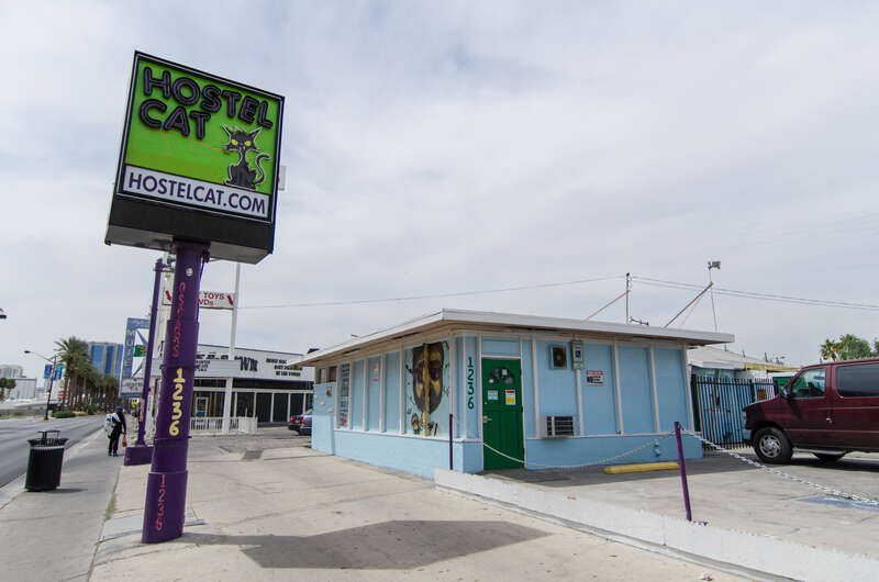 Hostel Cat, Las Vegas, Nevada