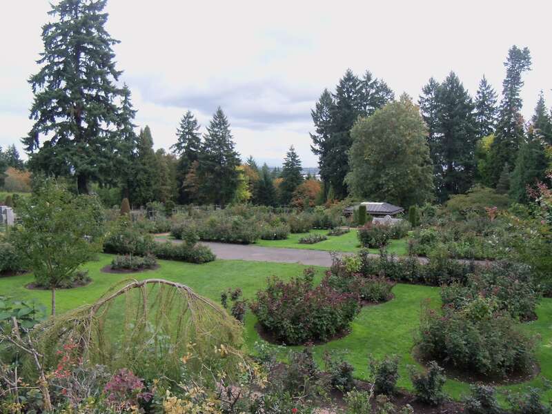 International Rose Test Garden