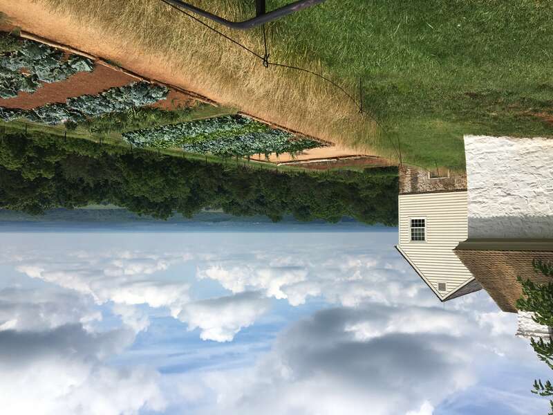 Monticello vegetable garden‎