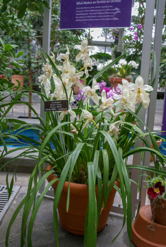 United States Botanic Garden