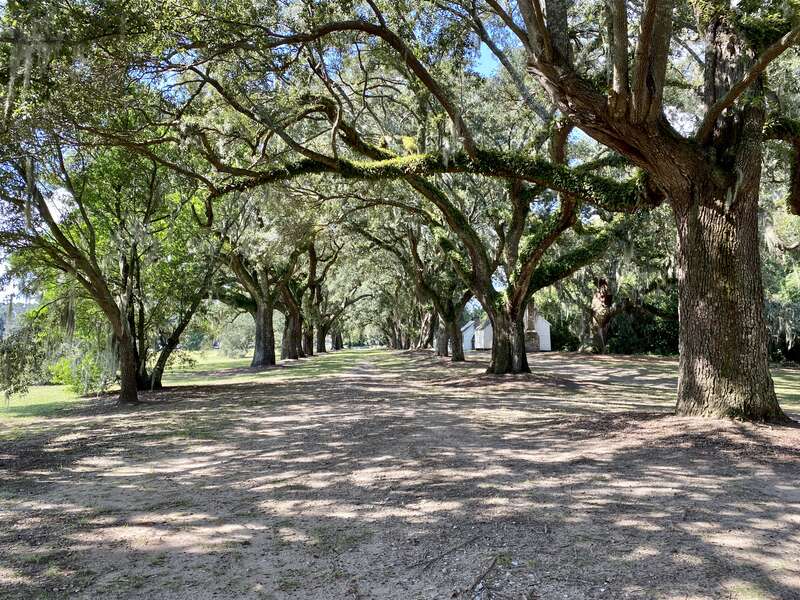 Dating back to 1678, then known as Morris, the plantation was used in 1780 during the American Revolutionary War by British General Sir Henry Clinton as his headquarters while planning to invade and occupy nearby Charleston, with many enslaved