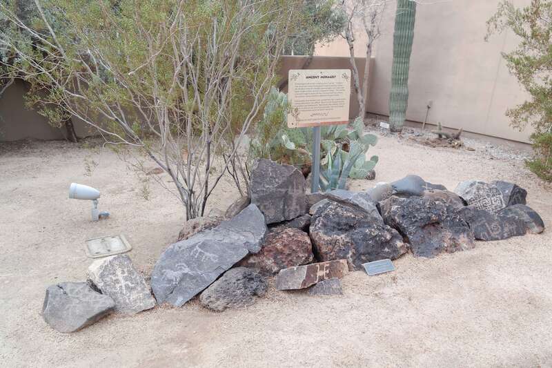 Petroglyphs at the Pueblo Grande Museum in Phoenix, Arizona