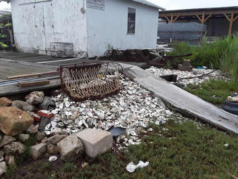 Taken on a visit to Tangier Island, July 2018