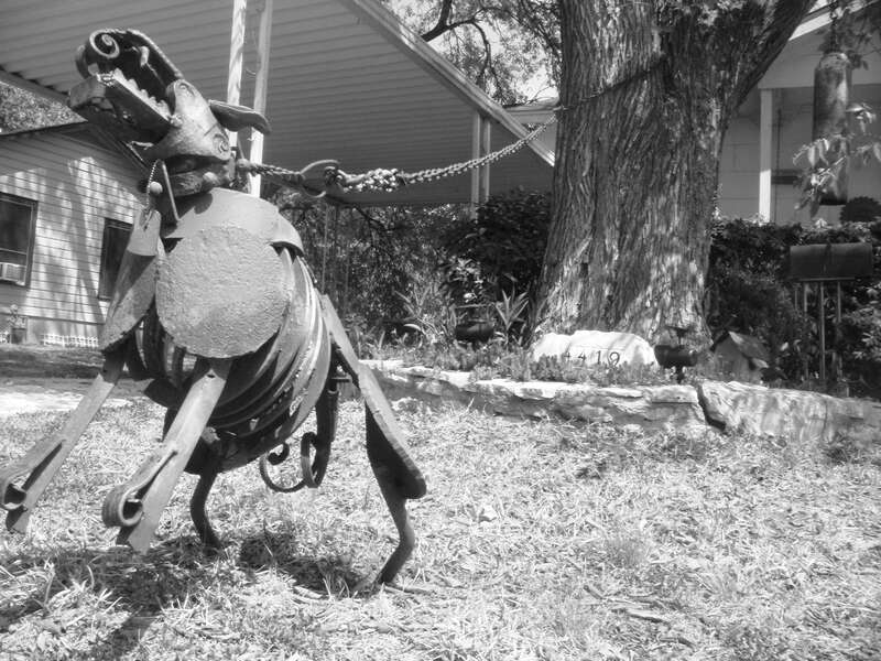 South Austin Guard Dog