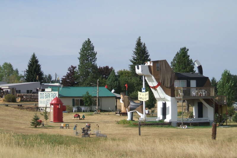 The Dogs of Dog Bark Park, Cottonwood, ID, 2007