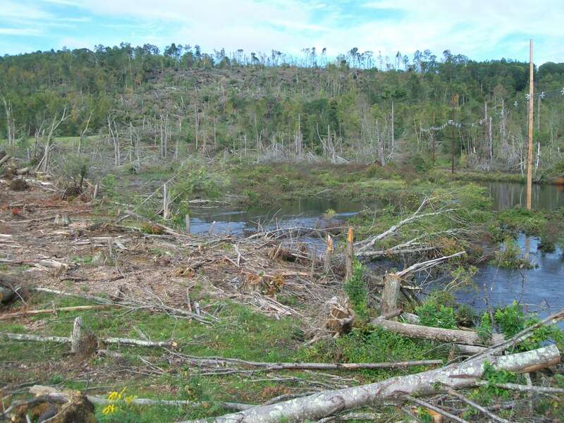 Path of Tornado at Sturbridge
