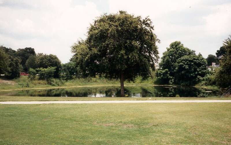 Winter Park Sinkhole