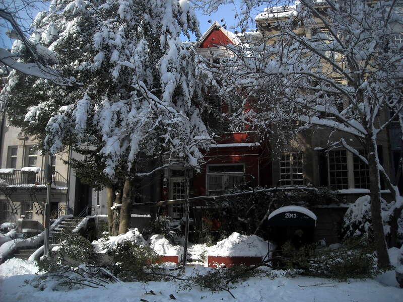 A fallen tree and broken tree limbs at 2013–2015 Q Street, N.W., in the Dupont Circle neighborhood of Washington, D.C., following the North American blizzard of 2010.
