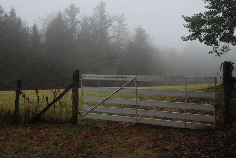 Gate and field, Carl Sandburg Home National Historic Site, Flat Rock, NC