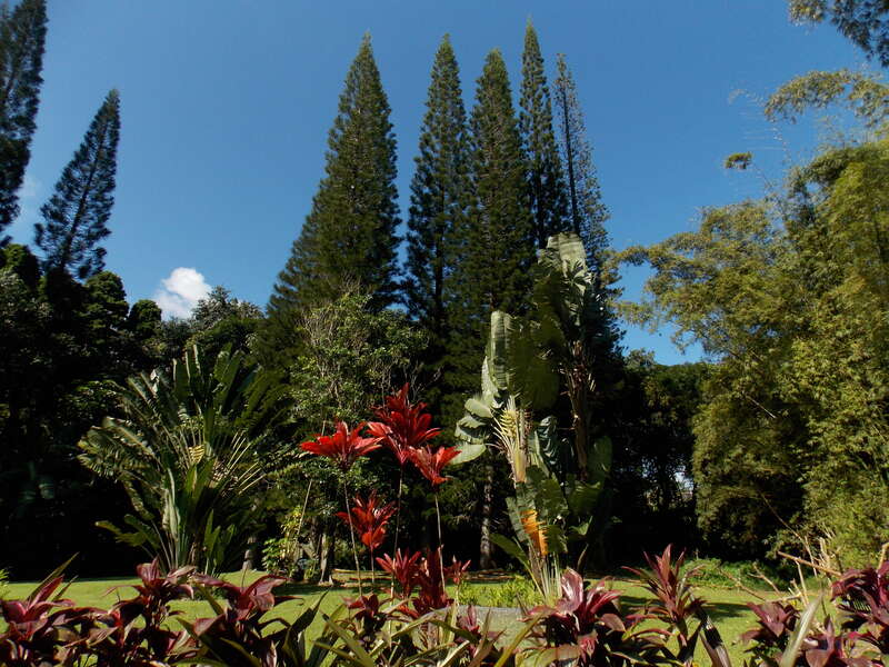 The grounds on the Byodo-In Temple, a non-denominational Buddhist temple, located at the Valley of the Temples on Oahu,Hawaii.