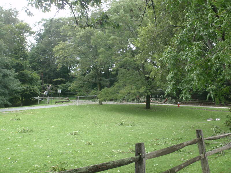 Damage caused the winds of Hurricane Irene.  This image was taken at the corner of Washington Rd &amp;amp; Faculty Rd in Princeton, NJ.