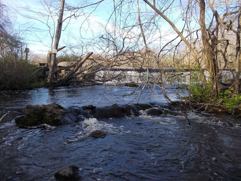 The Hyde Pond Dam Removal project in Mystic, Conn. will remove the dam on Whitford Brook, a tributary of the Mystic River. It will restore fish passage to 4.1 stream miles and habitat for alewife, blueback herring and American eel, candidate species