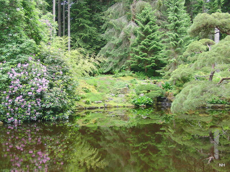 June Pond