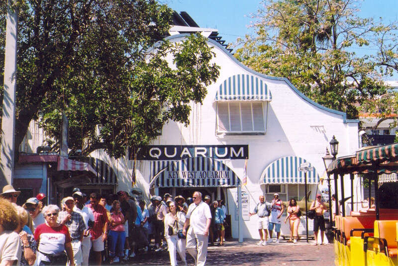 The cruise ship's brief stop in Key West meant that we could have only one sightseeing destination.  Janet chose the Aquarium.  I went to the Hemingway House.  Most of the people in this photo are lined up for the return to the ship.