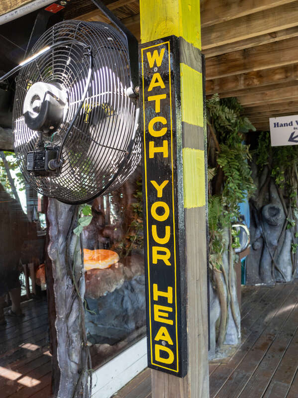 The Key West Aquarium is the only public aquarium in Key West, Florida, United States. It is located at 1 Whitehead Street and is marked by Historic Marker 52.
Built between 1932 and 1934, the Key West Aquarium is one of Florida's oldest aquariums.