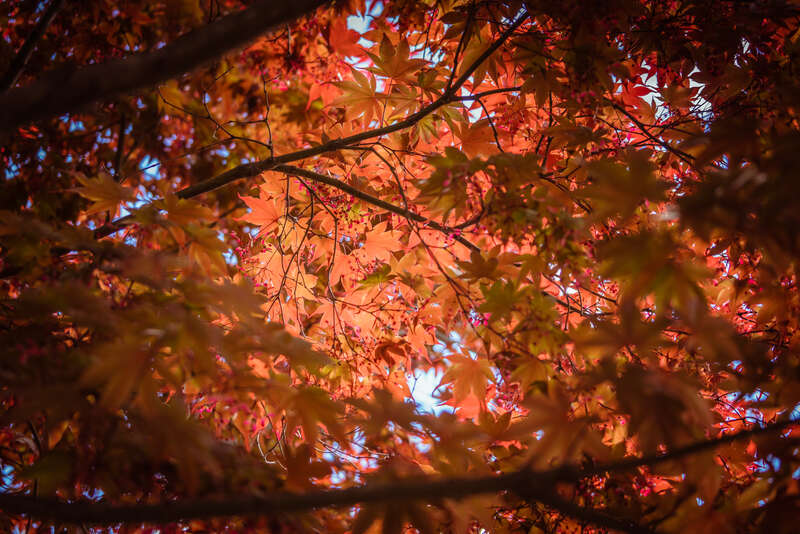 Smithsonian National Zoo