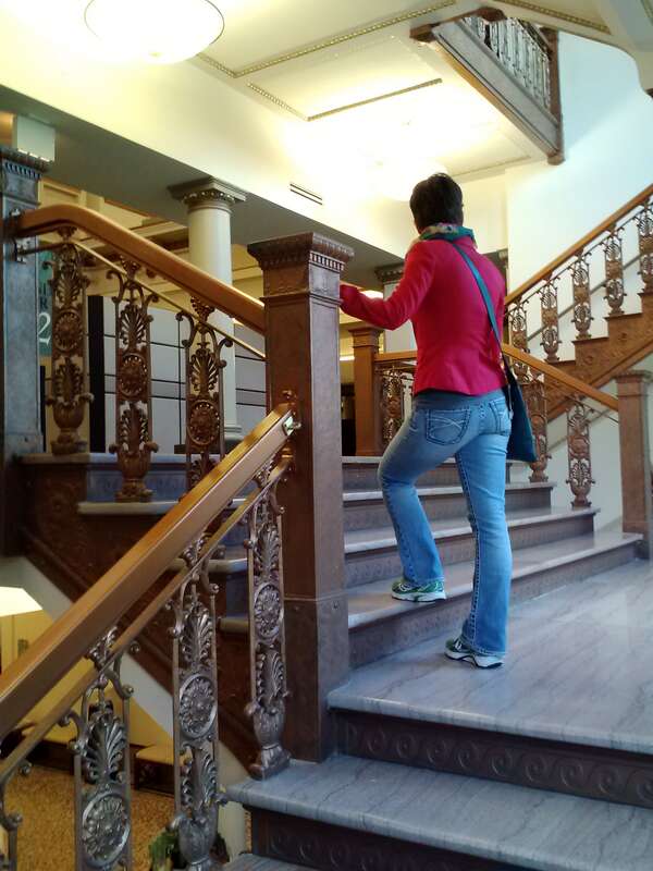 Lincoln Park Zoo Administrative Building