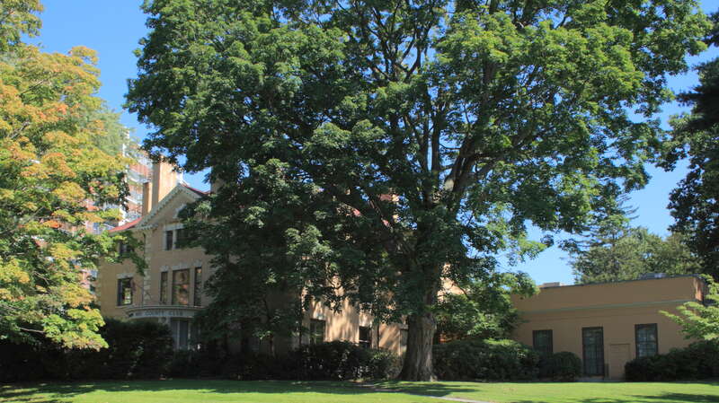 Lyman House, 22 Woodland St., a Registered Historic Place in Hartford, Connecticut

Camera location41° 46′ 06.58″ N, 72° 42′ 07.12″ W View this and other nearby images on: OpenStreetMap 41.768495;  -72.701978