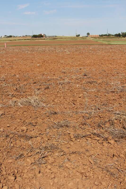 Magruder Plots, Oklahoma State University Stillwater. Magruder Plots, Oklahoma State University Stillwater.  Unfertilized "check" plot visible with less stubble in center of photo.