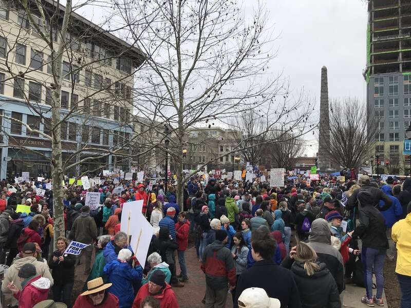 March for Our Lives Asheville