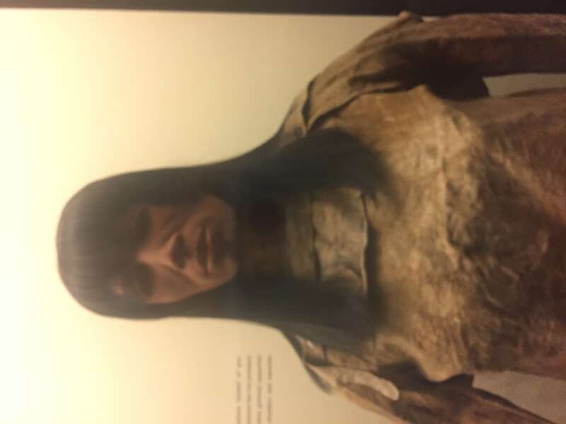 Museum of Natural History