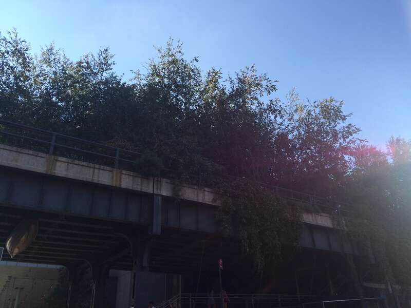 New York City (NYC) in September 2016