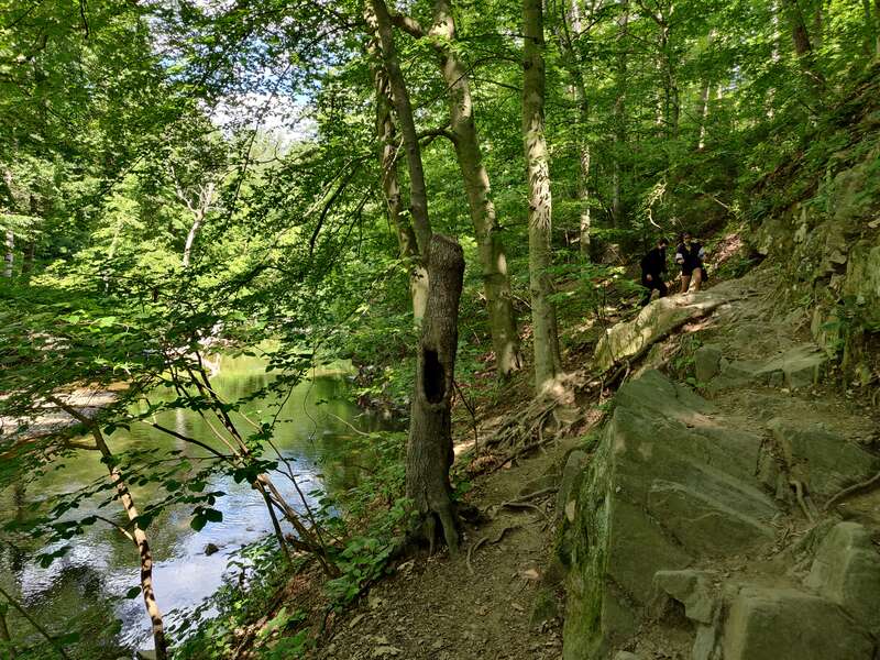 A rugged trail alongside Rock Creek in Rock Creek Park, Washington, D.C., United States.
