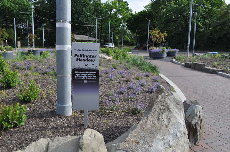 This is how the 40th Street Portal garden looks as of May 24, 2022. Pollinator-attracting flowers have been planted. There is a sign that says, &quot;This native wildflower and grass meadow supports pollinators like butterflies, hummingbirds and more!&quot;